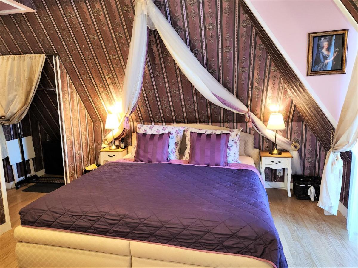 Františkovy Lázně Rezidence Zamecek - Boutique Hotel מראה חיצוני תמונה